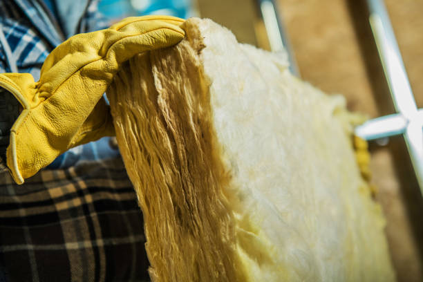 Insulation Contractors for Homes in Catalina, AZ