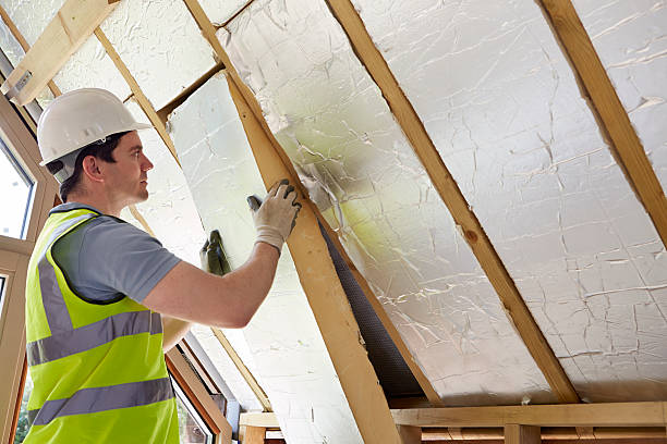 Best Cellulose Insulation  in Catalina, AZ